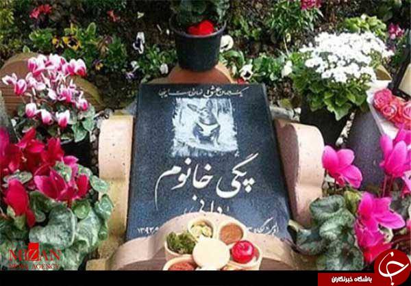 جشن تولد برای سگ ها پدیده ای در پایتخت/ جشن تولد سالی، پسرم! +تصاویر