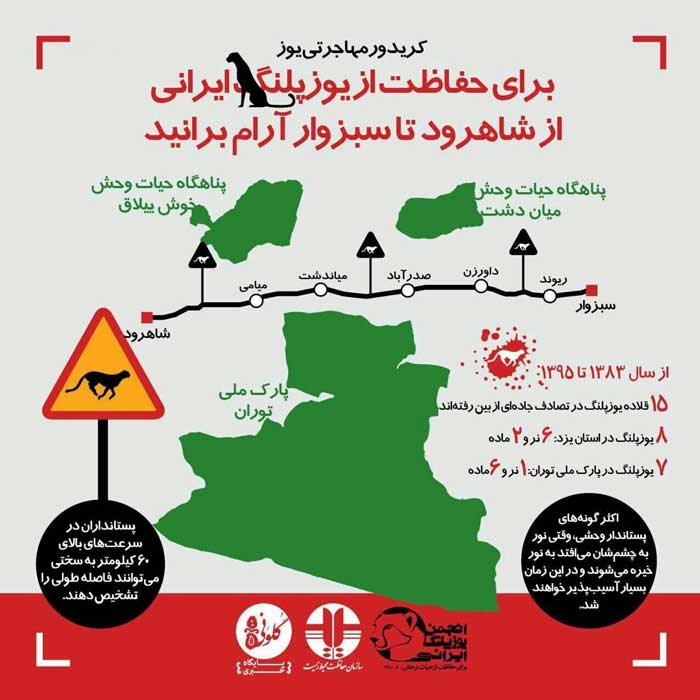 در این جاده&zwnj; آرام رانندگی کنید +عکس