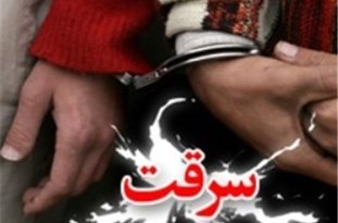 دستگیری سارق لوازم خودرو در تبریز