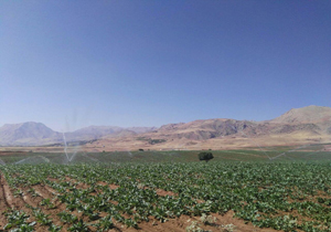 افتتاح ۷ طرح کشاورزی در شهرستان فارسان