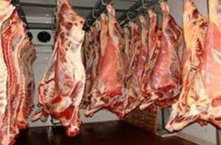 توزیع 18 تن گوشت منجمد وارداتی در همدان