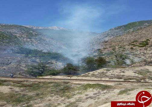 وقوع آتش سوزی در جنگل مازولنگه رامسر + تصاویر
