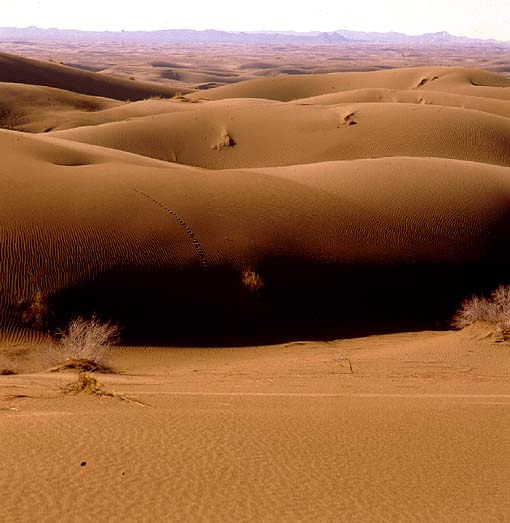 کدام آثار و استان&zwnj;های کشورمان در بیشترین