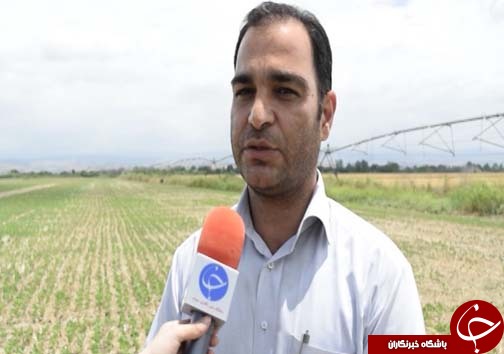 خاک &zwnj;ورزی حفاظتی دروازه ورود به کشاورزی پایدار