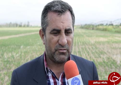 خاک &zwnj;ورزی حفاظتی دروازه ورود به کشاورزی پایدار