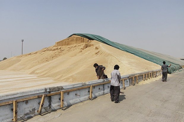 فاریاب صاحب سیلو گندم می شود