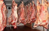هنگام ذبح گوسفند در روز عید قربان نکات بهداشتی رعایت شود
