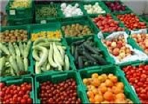 اجرای 608 طرح تحقیقاتی در بخش کشاورزی اردبیل