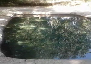 نمایی از چشمه برقی در قاب دوربین + فیلم