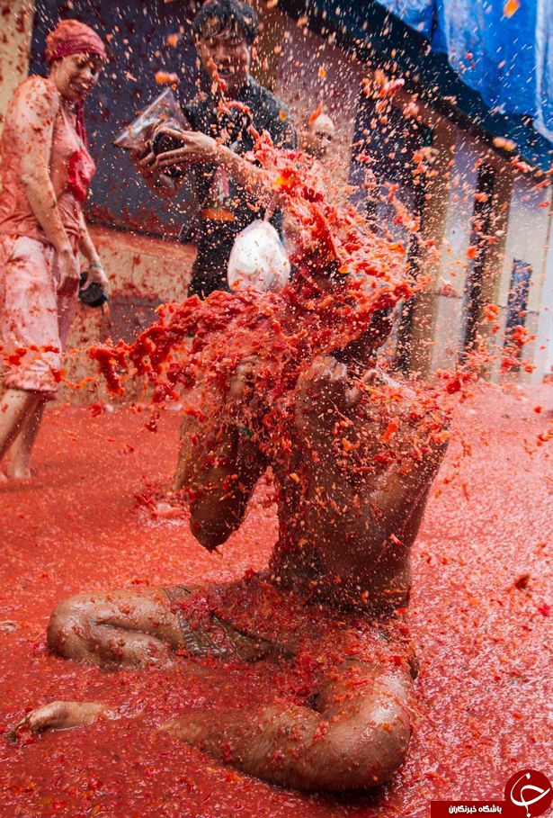 برگزاری 72اُمین جشنواره گوجه فرنگی در اسپانیا +تصاویر