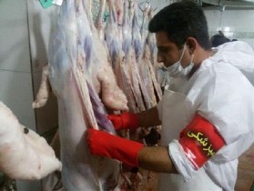 ذبح دام ها زیرذره بین دامپزشکان