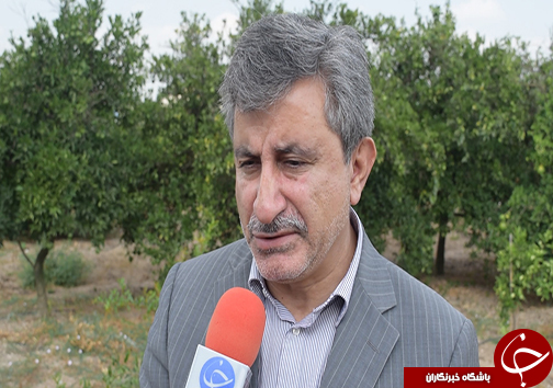 کاهش وابستگی به واردات روغن خام با تولید ارقام پرمحصول دانه های روغنی کاهش وابستگی به واردات روغن خام با تولید ارقام پرمحصول دانه های روغنی