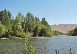 پیش بینی آسمانی صاف گاهی همراه با وزش باد