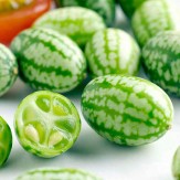 باشگاه خبرنگاران -میوه‌ای باب میل همه سلیقه‌ها +عکس