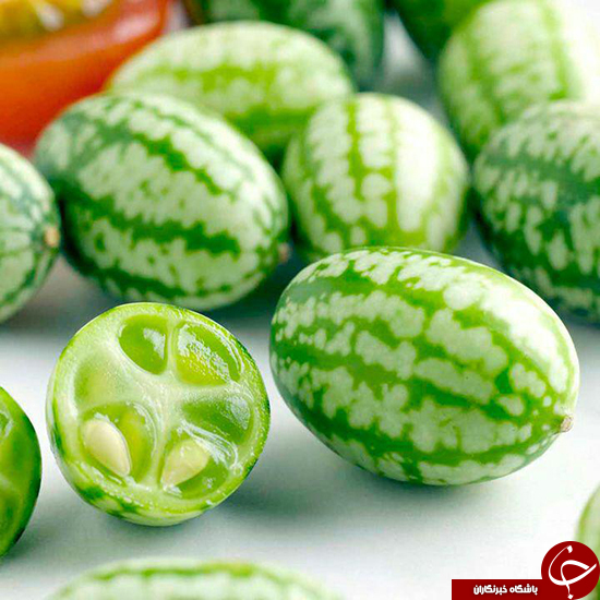 میوه&zwnj;ای باب میل همه سلیقه&zwnj;ها +عکس