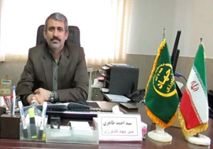 پایان برداشت هلو و شلیل در نکا