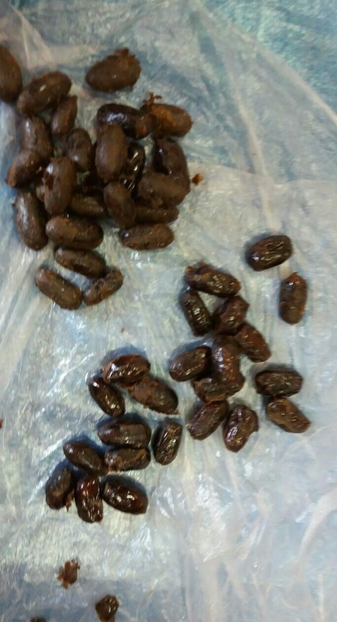 جاساز ۶۵۵ گرم تریاک در خرما + عکس