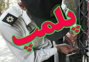 پلمپ ۳۱ واحد صنفی متخلف در لردگان