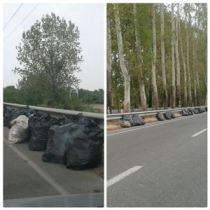 برگزاری نشست حفاظتی برای حفظ درختان چنار تونل سبز فومن