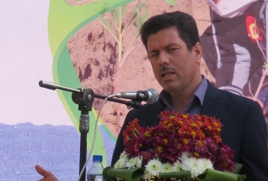 عملیات مراقبت و آبیاری نهالکاری سنواتی در دشتستان پایان یافت