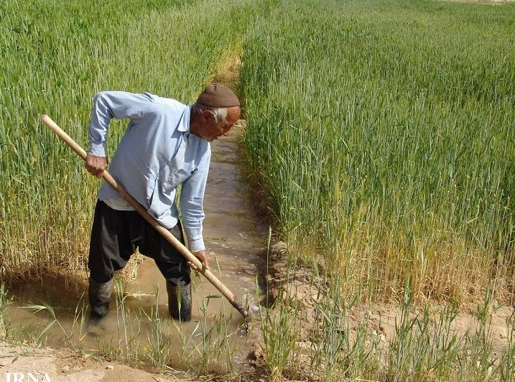 ارتقاء بهره‌ وری آب کشاورزی در خوزستان