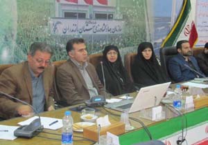 رونق بازار کار بانوان روستایی مازندران با ایجاد صندوق اعتباری خرد زنان