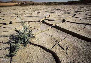 کم بارشی  دلیل خشکسالی در فارس