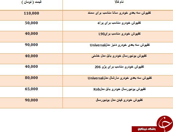 خرید یک کفپوش اتومبیل 3 بعدی چقدر آب می خورد؟
