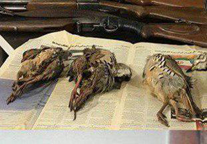 دستگیری ۳۰ شکارچی غیرمجاز