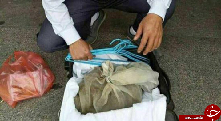 دستگیری مرد حامل 50 مار افعی با چمدان! تصاویر