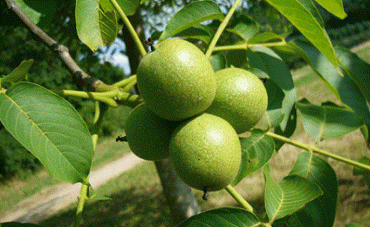 نگاهی به پر بیننده ترین اخبار روز گذشته در سمنان