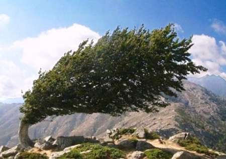 بارشهای پراکنده، کاهش دما و وزش شدید باد با خسارتهای احتمالی&nbsp;