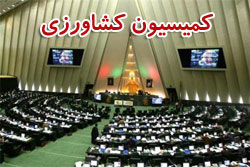 بررسی طرح جامع توسعه و عمران روستایی در جلسه کمیسیون کشاورزی