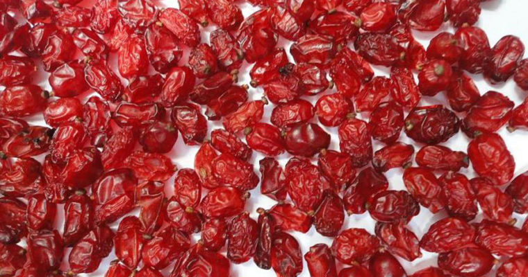 اجاره ویلا در منطقه 2 تهران و خرید یک خودروی کوپه کارکرده چقدر تمام می شود؟/ آخرین قیمت گوشی های Apple برای iPhone بازها