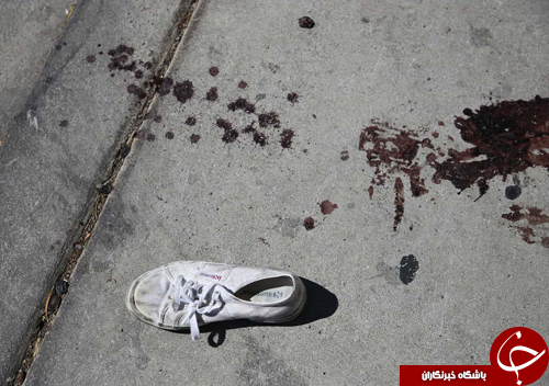 تصاویر روز: از مزایده کاسه ای با قدمت 900 ساله تا خرسی که بر روی مبل استراحت می کند