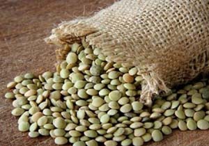 کشف 25 تن عدس قاچاق در بندرلنگه