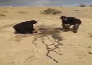 لحظه غمناک حضور مادر جوان مهابادی در قتلگاه پسرش + فیلم