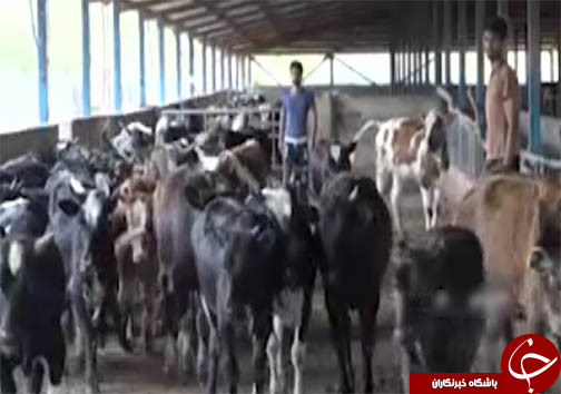 گاورمک، روستایی عاری از زباله