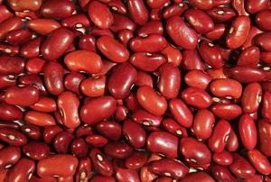 معرفی گونه جدید لوبیا در ایستگاه ملی تحقیقات لوبیای خمین