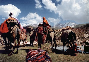عشایر شهرستان نیر از ییلاقات شهرستان کوچ کنند