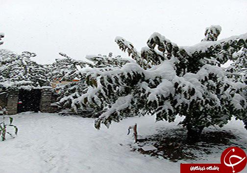 سرمایی که هنوز نیامده همه جا را خراب کرد