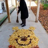 باشگاه خبرنگاران -هنرنمایی با برگ‌های پاییزی +تصاویر