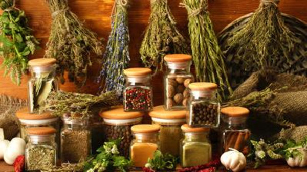 ۱۰ گیاه با خواص اعجاب انگیز برای لوزالمعده