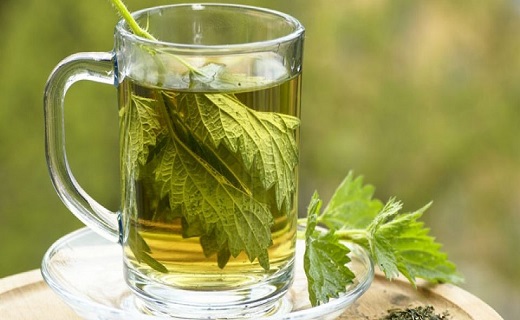 موثرترین نسخه&zwnj;های گیاهی برای دیابتی&zwnj;ها/ دمنوش&zwnj;هایی که دیابت را فیتیله&zwnj;پیچ می&zwnj;کنند