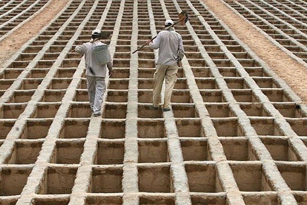 بیشترین علت مرگ ایرانیان در سال 95 + اینفوگرافی