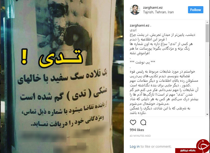 آگهی گم شدن 
