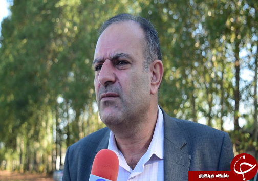 سایه مرگ بر سرجنگل&zwnj;های هیرکانی /تنش خشکی در جنگل های مازندران