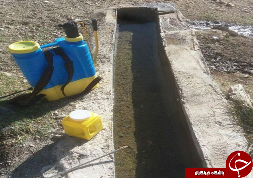 ضدعفونی آبشخورهای پناهگاه حیات وحش سفید کوه ازنا