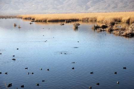 مکانهای شگفتانگیز طبیعت ایران در پاییز مکانهای شگفتانگیز طبیعت ایران در پاییز