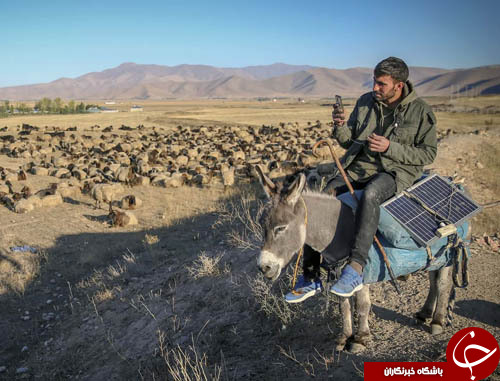 تصاویر روز: از نمایش سگ مومیایی شده در وین تا دعوا در پارلمان اوکراین